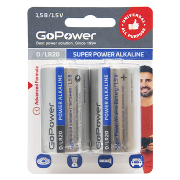 Аккумулятор для компьютерной техники GoPower Батарея Alkaline LR20
