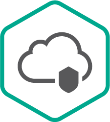 Kaspersky Endpoint Security Cloud Pro Russian Edition (подписка), Successive Plus License на 1 месяц. Количество рабочих станций/файл-серверов