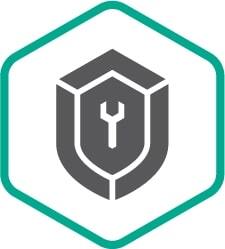 Расширенная техническая поддержка (сертификат на 2 года), Business